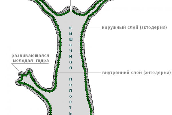 Кракен через обычный браузер