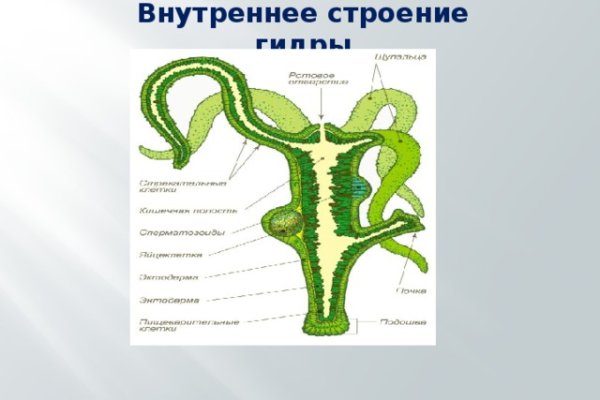 Сайт кракен через тор