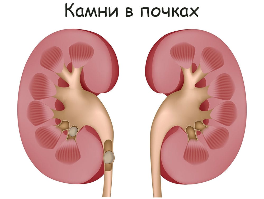 Правила модераторов кракен площадка